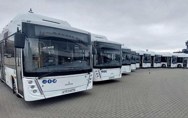 Партия из 10 белорусских автобусов МАЗ прибыла в Новороссийск