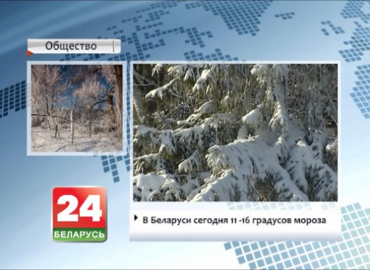 В Беларуси сегодня 11-16 градусов мороза