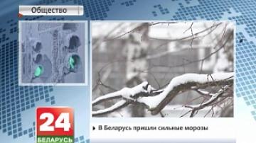 В Беларусь пришли морозы