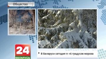 В Беларуси сегодня 11-16 градусов мороза