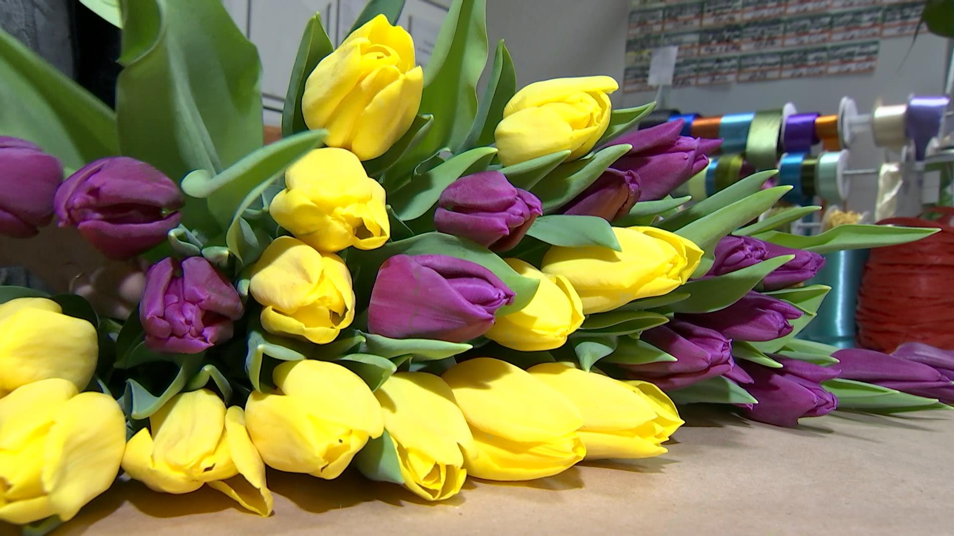 В продажу поступили первые цветы белорусских оранжерей 