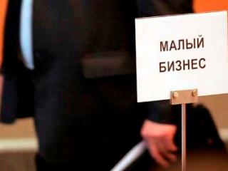В Беларуси 238,5 тыс. субъектов малого бизнеса