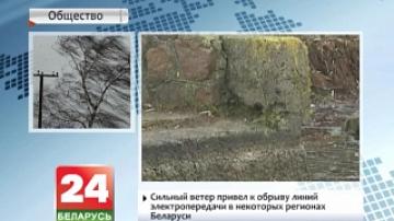 Сильный ветер привел к обрыву линий электропередачи в некоторых регионах Беларуси