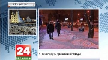 Снегопады пришли в Беларусь